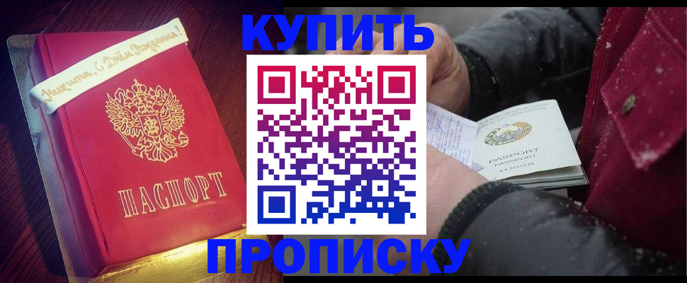 прописка гарантия в Бердске